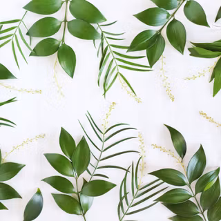 Desktop leaves wallpaper