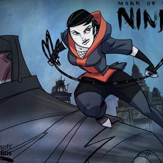 Ninja desktop wallpaper