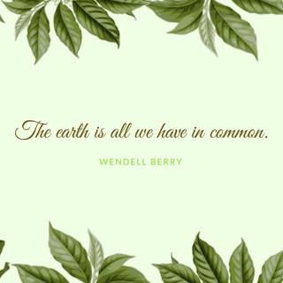 Desktop leaves wallpaper