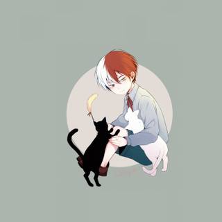 Shoto Todoroki phone wallpaper