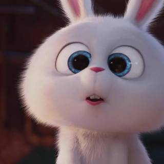 Snowball bunny wallpaper