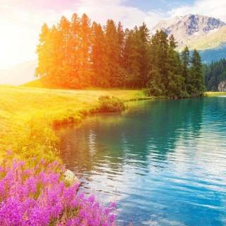 Spring scenry wallpaper