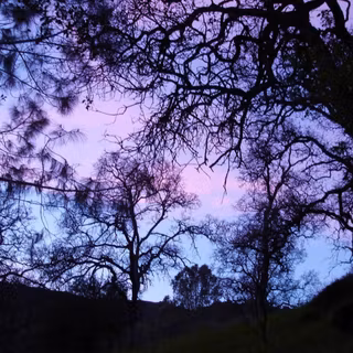 Desktop goth aesthetic wallpaper