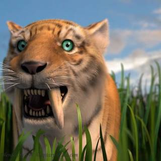 Anime Saber Tooth wallpaper