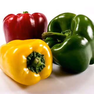 Capsicum wallpaper