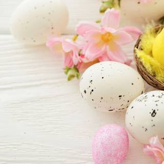 Easter chiks wallpaper