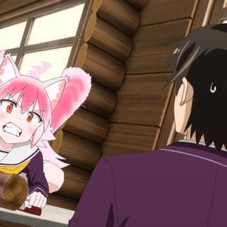 Seton Academy: Join the Pack! wallpaper