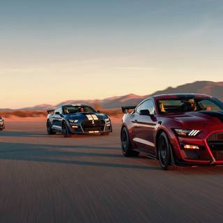 Ford Shelby wallpaper