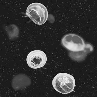 Aesthetic black iPhone wallpaper