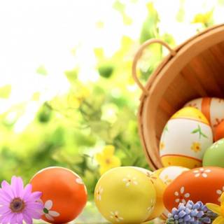 Easter orange wallpaper