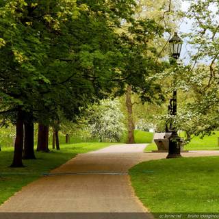 Green park wallpaper