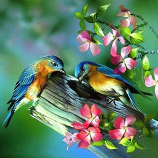 Spring birds wallpaper