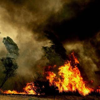 Fire computer wallpaper