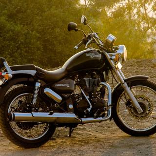 Thunderbird for mobile wallpaper