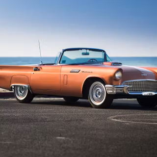 Thunderbird for mobile wallpaper