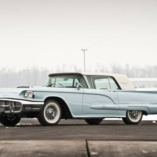 Thunderbird for mobile wallpaper