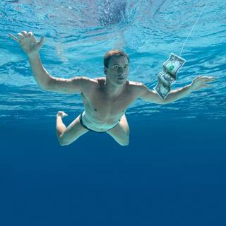 Never mind wallpaper