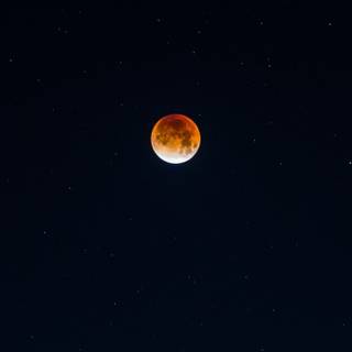 Moon HD Android mobile wallpaper