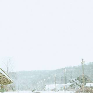 Kim Taehyung Spring Day wallpaper