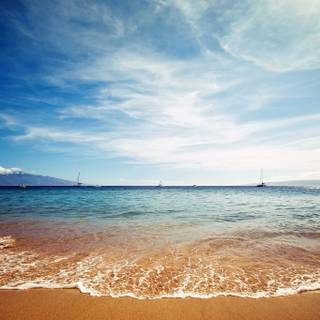 Ocean and Chris wallpaper