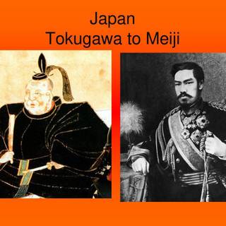 Supreme Tokugawa wallpaper