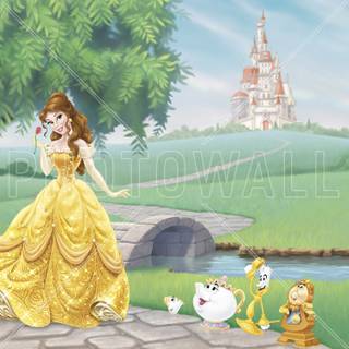 Disney Princess Belle anime wallpaper