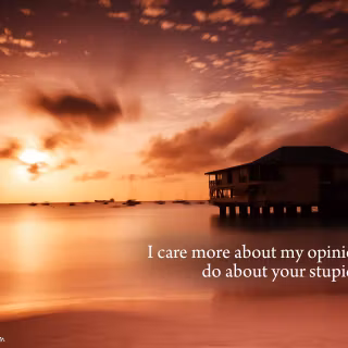 Passive aggressive desktop wallpaper