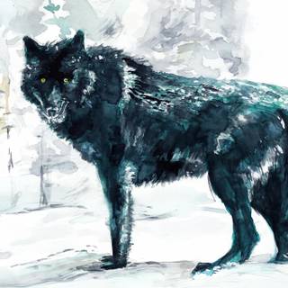 Wolf drawings wallpaper