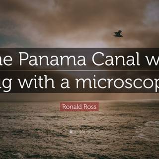 Panama Canal wallpaper