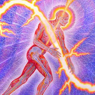 Confrontational wallpaper