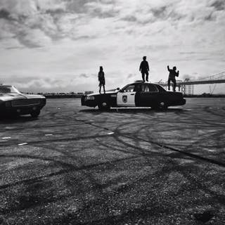 Confrontational wallpaper