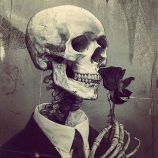 Skull lockscreen tumblr wallpaper