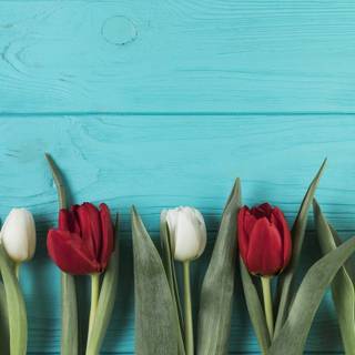 Red spring wallpaper