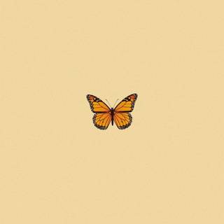 VSCO butterfly aesthetic cover wallpaper