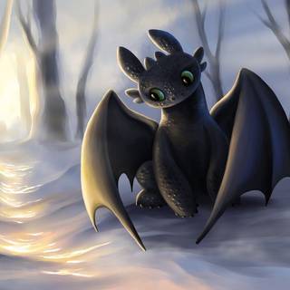 Night Fury Dragon wallpaper