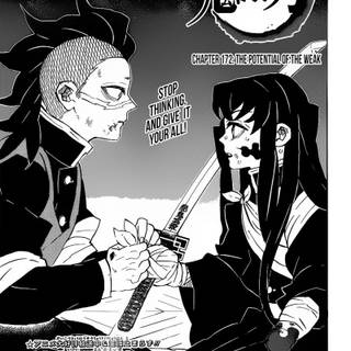 Shinazugawa wallpaper