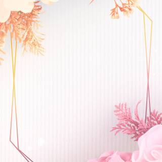 Frame pastel wallpaper