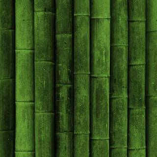 Dark green iPhone wallpaper
