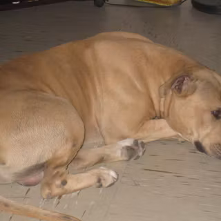 Rudy Martinez wallpaper