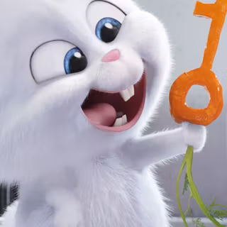 Snowball bunny wallpaper