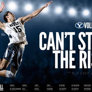 Volleyball desktop HD wallpaper