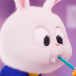 Snowball bunny wallpaper