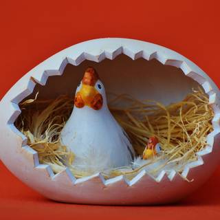 Easter egger chickens wallpaper