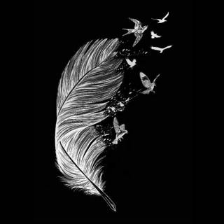 Just black wallpaper