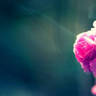 Small size wallpaper