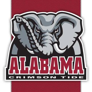 Role Tide desktop HD wallpaper