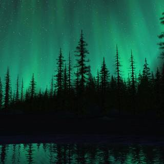 Computer forest wallpaper