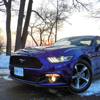 S550 Mustang wallpaper