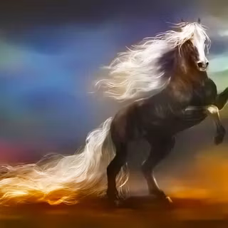 Wild girl horses wallpaper