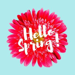 Aesthetic spring flowers PC wallpaper